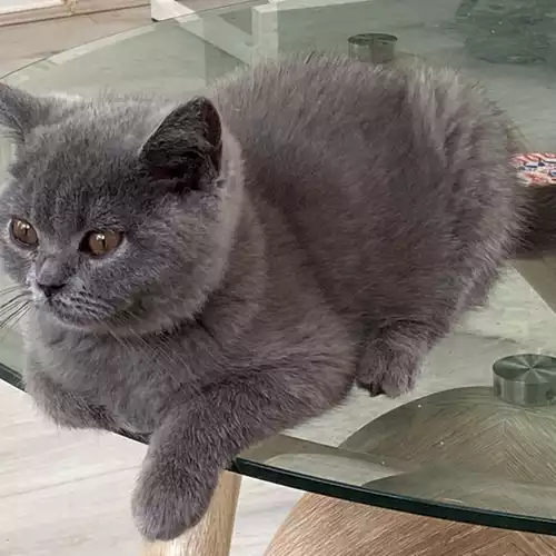 KxjWVed9rUWNVNQ2Eqherw_medium