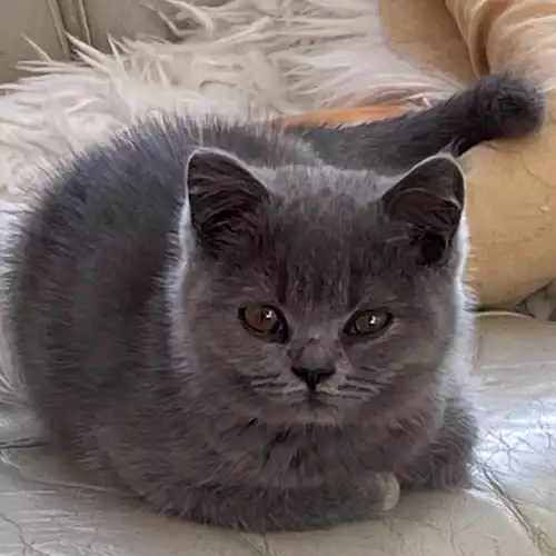 i4OtrD_BwUmY2lepmJnucQ_medium