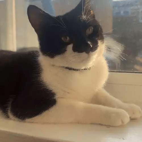 Azfxp4u2TUmaWWDDqwjmlw_medium-1