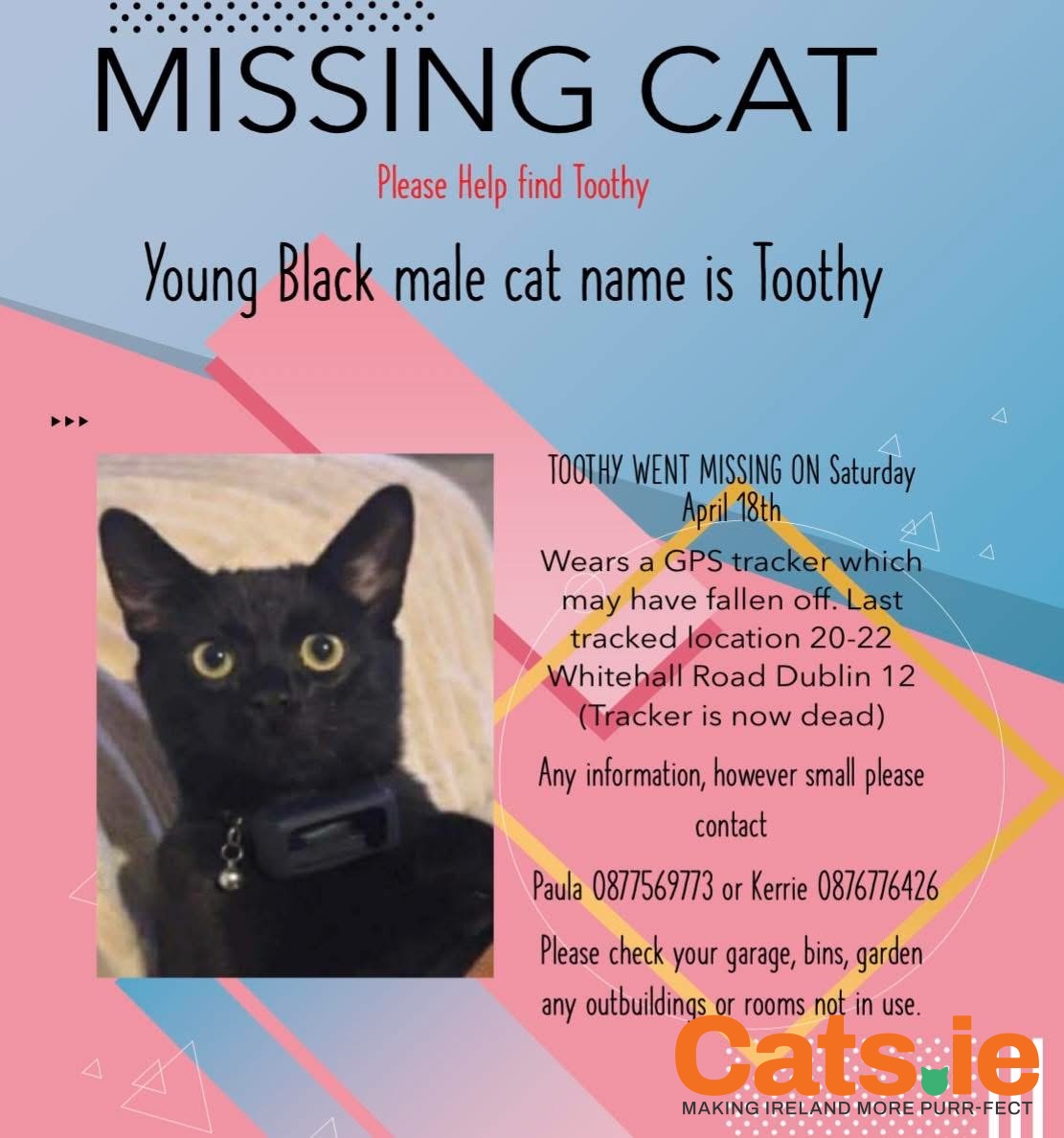 Have You Seen Toothy?